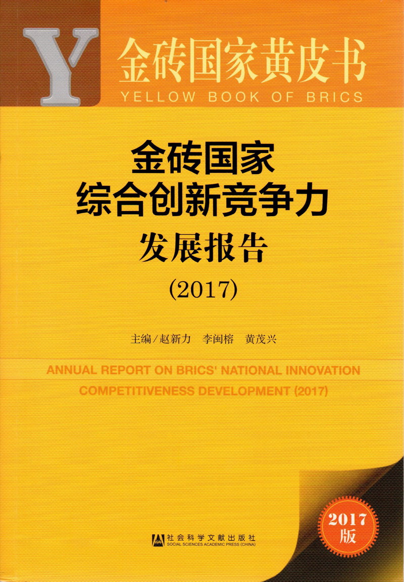 www.我想艹逼,com金砖国家综合创新竞争力发展报告（2017）